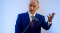 Mircea Geoana: Intrarea Ucrainei, Moldovei, Georgiei in UE si NATO este calea ca Romania sa evadeze de la periferia Europei