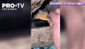 Pe frontul din Donetk, soldatii ucraineni nu lupta doar cu rusii, ci si cu soarecii de camp. Rozatoarele mananca din provizii si rod incaltamintea sau hainele - VIDEO
