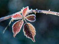 Inceput de saptamana cu cer variabil, fara precipitatii. Ce temperaturi se inregistreaza astazi, dar si in urmatoarele zile. Prognoza meteo - FOTO