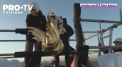 Cocosul simbolic a fost reinstalat in turla catedralei Notre-Dame, aflata in reconstructie dupa incendiul din 2019 - VIDEO