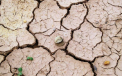 Cel mai calduros an din istorie, cu un record de CO2. Seceta extrema, pe cale sa devina „o urgenta fara precedent la scara planetara”