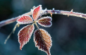 Vremea se raceste usor: in nord termometrele vor indica 5 grade Celsius. Ce temperaturi se vor inregistra in urmatoarele zile. Prognoza meteo