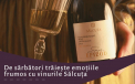 De sarbatori traieste emotiile frumos cu vinurile Salcuta