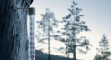 Vremea se raceste. Cate grade se vor inregistra astazi, dar si in urmatoarele zile. Prognoza meteo
