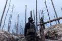 LIVE TEXT. Razboi in Ucraina, ziua 740: Ucrainenii spun ca au spart serverele ministerului rus al apararii. Explozie la un pod feroviar din regiunea rusa Samara. Zelenski, apel catre Occident sa gaseasca vointa politica pentru a-i ajuta tara - VIDEO
