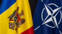 Sondaj. Cum ar vota moldovenii daca ar avea loc un referendum cu privire la aderarea Republicii Moldova la NATO - FOTO