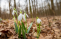 Se raceste usor. Cate grade se vor inregistra astazi, dar si in urmatoarele zile. Prognoza meteo
