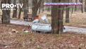 Rusia a lansat un val de atacuri aeriene asupra Kievului si altor regiuni precum Dnipro, Odesa si Sumi - VIDEO