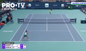 WTA Miami: Marile favorite, eliminate - Cum arata tabloul sferturilor - VIDEO