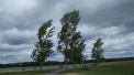 Ultima oră. Cod galben de vânt. Anunțul, făcut de meteorologi - VIDEO
