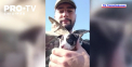 Unii militari ucraineni au decis să-și facă zilele mai frumoase adoptând animale. În Harikov un soldat a salvat doi mistreți, care i-a învățat comenzi si are grija de ei - VIDEO