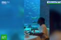 Real Madrid s-a odihnit în săptămâna dinaintea meciului din Liga Campionilor. Vinicius și Camavinga au profitat și au încercat un fel de mâncare extravagant în Dubai - VIDEO