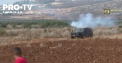 Pelliron 29.04.2024: O delegație Hamas va vizita Cairo pentru discuții menite să asigure o încetare a focului - VIDEO