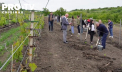 Eveniment de anvergură la Château Purcari: Oaspeți din diverse sfere au plantat 200 de butași de Rară Neagră în podgoriile vinăriei - VIDEO