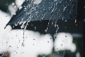 Ploi puternice pe întreg teritoriul țării. Cum va fi vremea în urmatoarele zile. Prognoza meteo - FOTO
