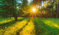 Soare și maxime de 30 grade Celsius. Cum va fi vremea astăzi, dar și în următoarele zile. Prognoza meteo