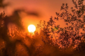 Vremea se încălzește și mai mult. Câte grade se vor înregistra astăzi, dar și în următoarele zile. Prognoza meteo