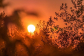 Vremea se încălzește și mai mult. Câte grade se vor înregistra astăzi, dar și în următoarele zile. Prognoza meteo
