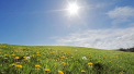 Vreme caniculară cu maxime de 39 grade Celsius. Ce temperaturi se vor înregistra în următoarele zile. Prognoza meteo