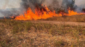 Ultima oră. Cod galben de pericol de incendii în toată țara - FOTO