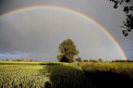 Maxime de 35 de grade și ploi în sudul țării. Cum va fi vremea astăzi, dar și în următoarele zile. Prognoza meteo