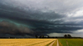 Cod GALBEN de ploi cu descărcări electrice, grindină și vânt puternic. Anunțul meteorologilor - VIDEO