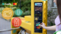 Mastercard și maib lansează serviciul de plată contactless în Grădina Botanică și Parcul Dendrariu din capitală