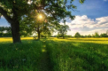 Soare și maxime de 35 grade Celsius. Cum va fi vremea astăzi, dar și în următoarele zile. Prognoza meteo