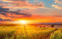 Vremea caniculară se menține. Câte grade se vor înregistra astăzi, dar și în următoarele zile. Prognoza meteo
