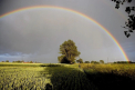 Va ploua în nordul țării. Câte grade se vor înregistra astăzi, dar și în următoarele zile. Prognoza meteo