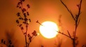 Cod GALBEN de caniculă la început de toamnă. Anunțul meteorologilor - FOTO
