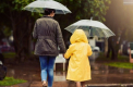 Va ploua în toată țara. Câte grade se vor înregistra astăzi, dar și în următoarele zile. Prognoza meteo