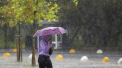 Ploi în toată țara. Câte grade se vor înregistra astăzi, dar și în următoarele zile. Prognoza meteo
