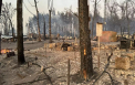Un sat întreg a ars într-un incendiu de pădure, în Ucraina. Patru oameni au murit și peste o mie de case au fost făcute scrum - VIDEO