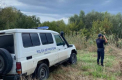 Au făcut cale întoarsă la frontieră: 19 persoane au primit refuz de intrare în Moldova, în ultimele 24 de ore

