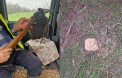 Razii nocturne la Leova: Trei vânători au fost amendați de inspectorii de mediu - FOTO