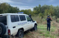 Au făcut cale întoarsă la frontieră: 33 de persoane au primit refuz de intrare în Moldova, în ultimele 24 de ore