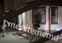 Alertă cu bombă la Universitatea de Stat din Moldova. Poliția: „Nu au fost depistate obiecte suspecte sau explozibile” - VIDEO