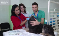 Studenții de la medicină veterinară, din cadrul UTM, instruiți de profesori din România, în domeniul stomatologiei - VIDEO
