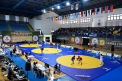 Patru medalii - cucerite de moldoveni la Campionatul Mondial de Sambo, rezervat juniorilor și tineretului - FOTO