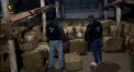O nouă fabrică de producere ilegală a țigărilor - deconspirată: Suspecții se pot alege cu o amendă de până la 92.500 de lei. Imagini din timpul perchezițiilor - VIDEO