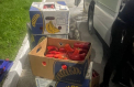 Ingeniozitate fără limite: Cu pachetele de țigări ascunse printre ardei, un moldovean de 22 ani a încercat să iasă din țară - FOTO
