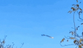 
Un elicopter ucrainean vânează o dronă rusească și o doboară cu mitraliera de la mică distanță - VIDEO