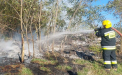 A dat foc la niște deșeuri în apropierea unei păduri și a provocat un incendiu. O persoană din Ocnița s-ar putea alege cu o amendă de până la 15 mii de lei - FOTO 