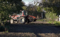Toamna adună roadele și munca țăranilor. Satele din nordul țării, gata de iarnă - VIDEO