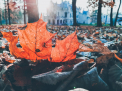 Cer variabil și maxime de până la 17 grade. Cum va fi vremea astăzi, dar și în următoarele zile. Prognoza meteo