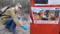  Campania de vaccinare antirabică a vulpilor a început în Republica Moldova. Unde și cum vor fi distribuite momeli vaccinale antirabice - FOTO