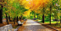 Vremea se menține constantă. Cum va fi vremea astăzi, dar și în următoarele zile. Prognoza meteo 
