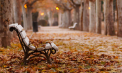 Maxime de 17 grade Celsius. Cum va fi vremea astăzi, dar și în următoarele zile. Prognoza meteo