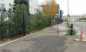 A doborât un pilon de electricitate, o parte din gardul IGP, dar și mai mulți copaci: Isprava unui șofer de 24 de ani - VIDEO